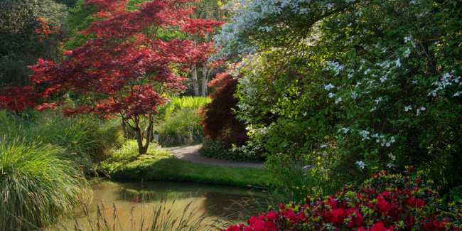 Rendez-vous aux Jardins au Parc Botanique de Haute Bretagne