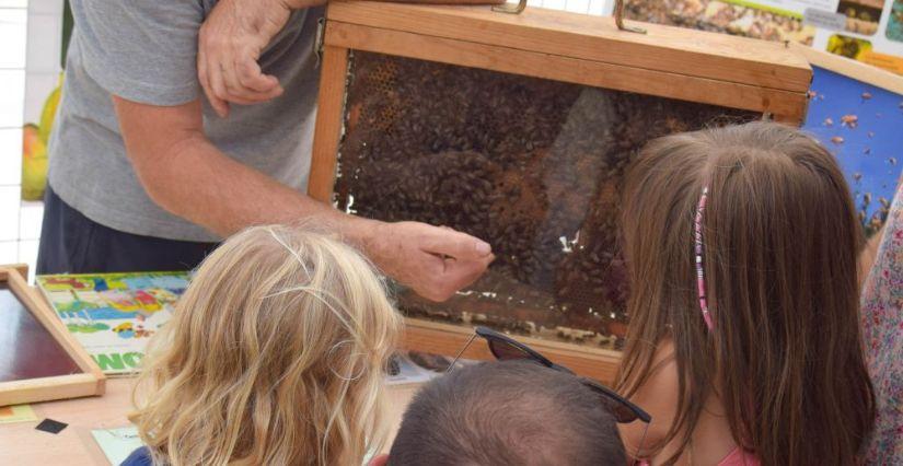les apiculteurs nous expliquent les abeilles aux Jardins de Brocéliande